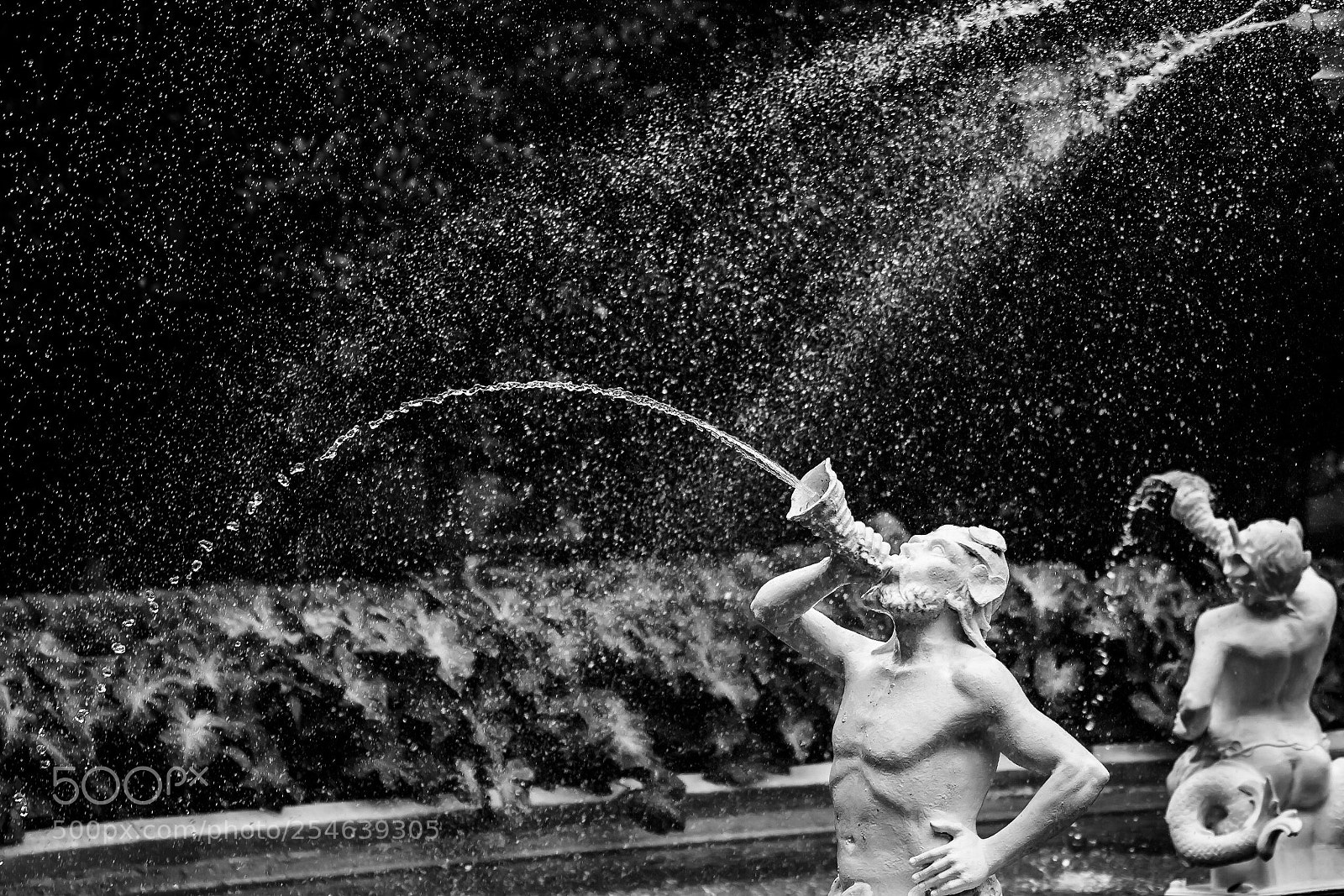 Nikon D5500 sample photo. Fountains of savannah  photography