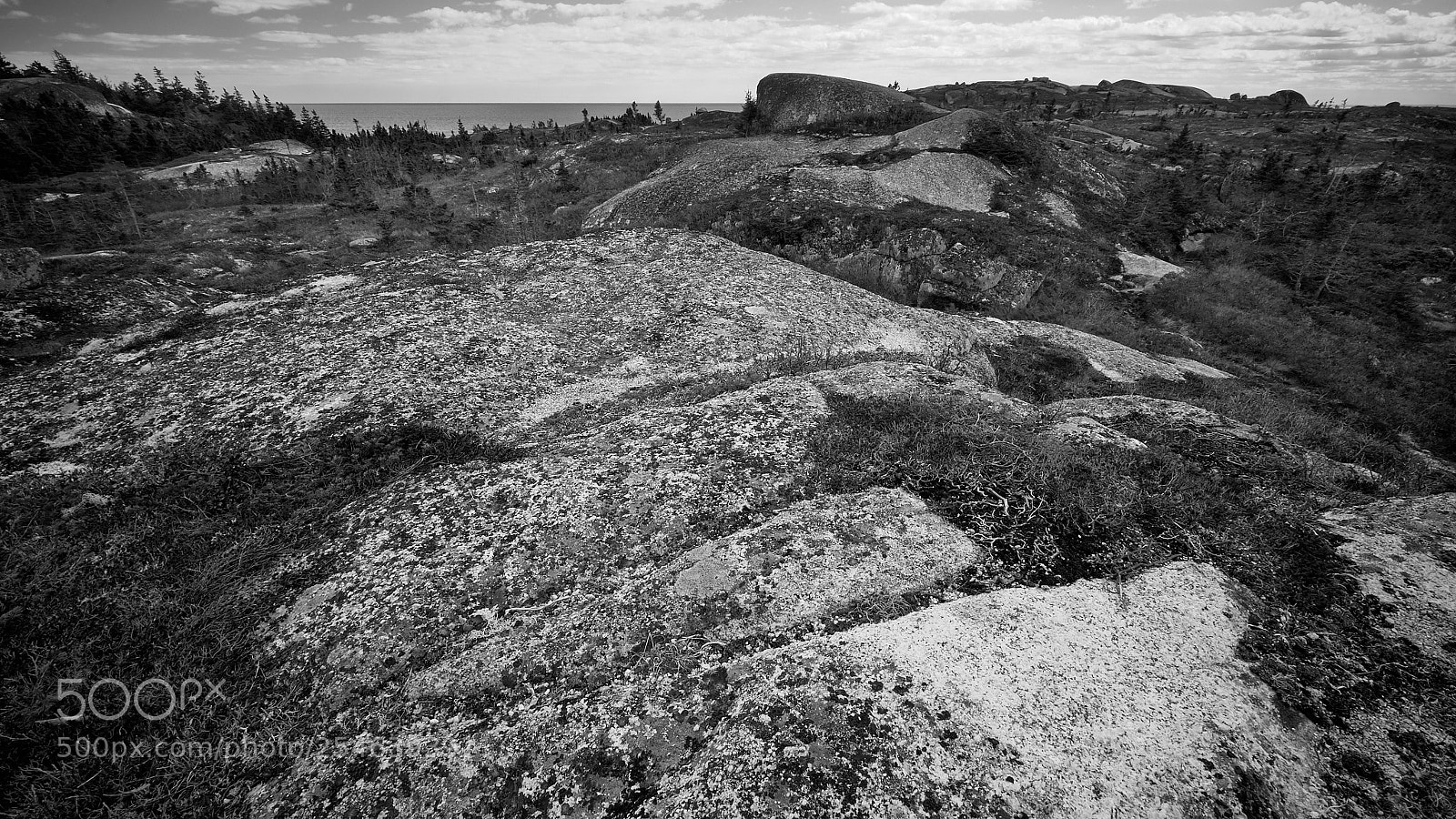 Fujifilm X-T2 sample photo. Polly's cove #1 photography