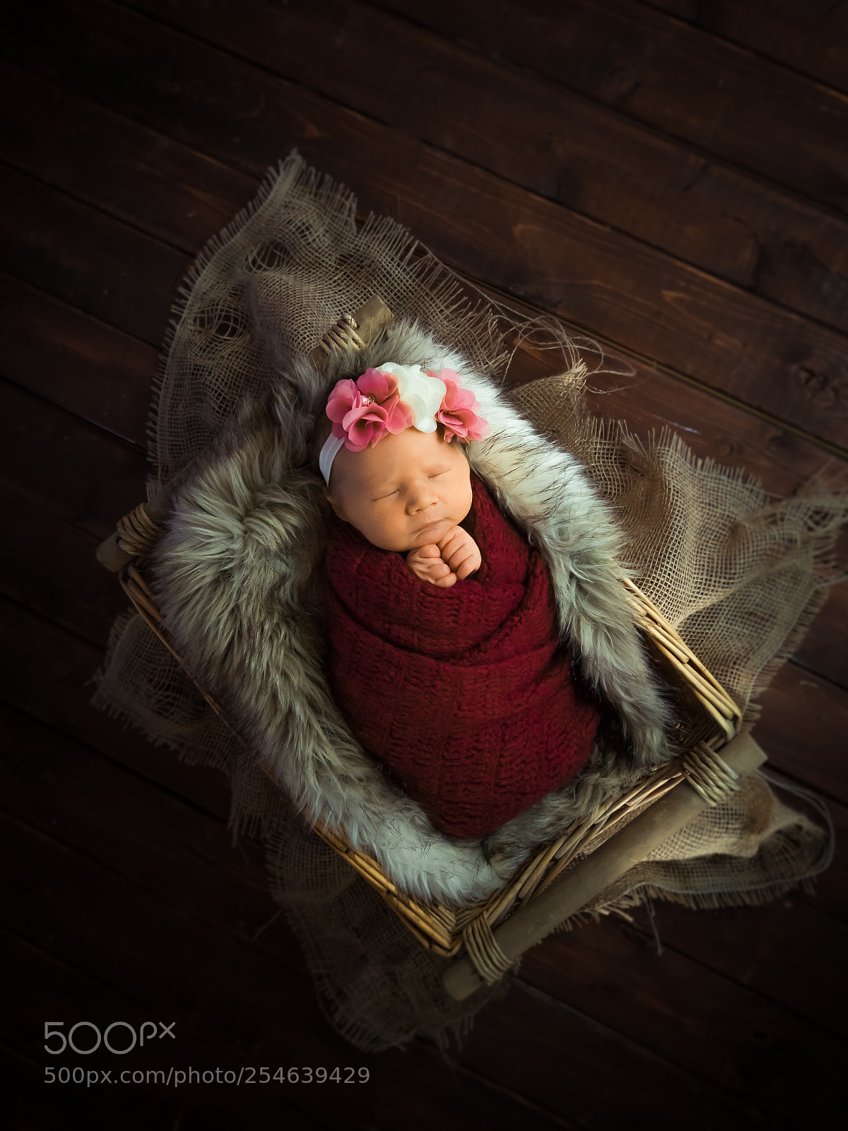 Sony SLT-A58 sample photo. Erna georgs prinsessa photography