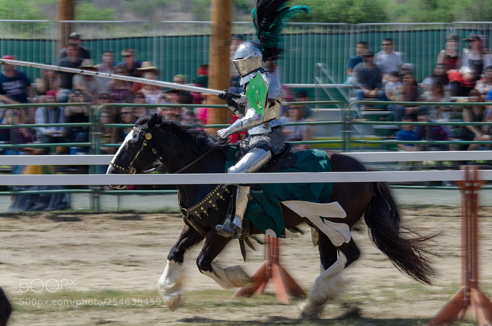 Nikon D7000 sample photo. Jousting photography