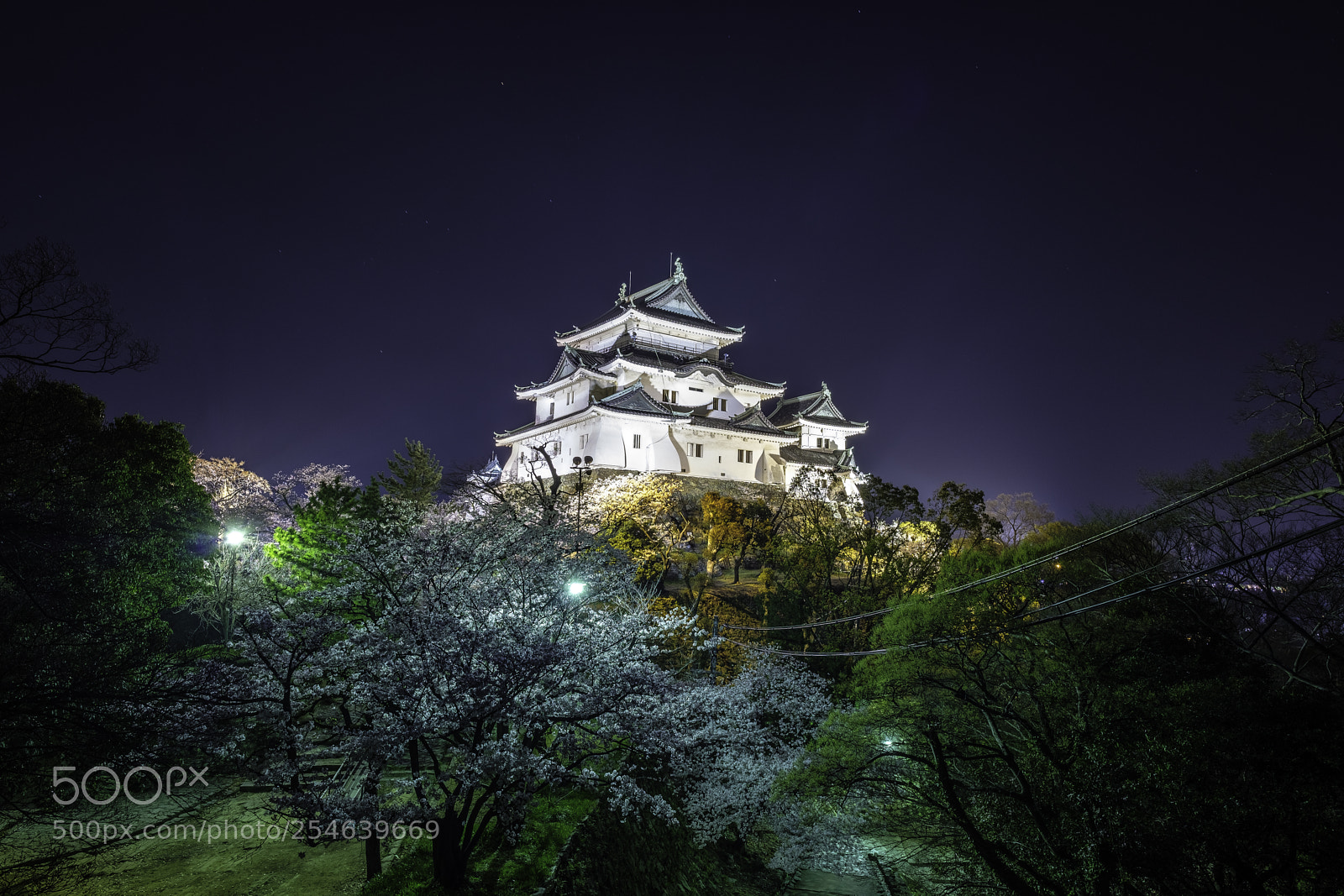 Fujifilm X-T2 sample photo. Japan-和歌山城 photography