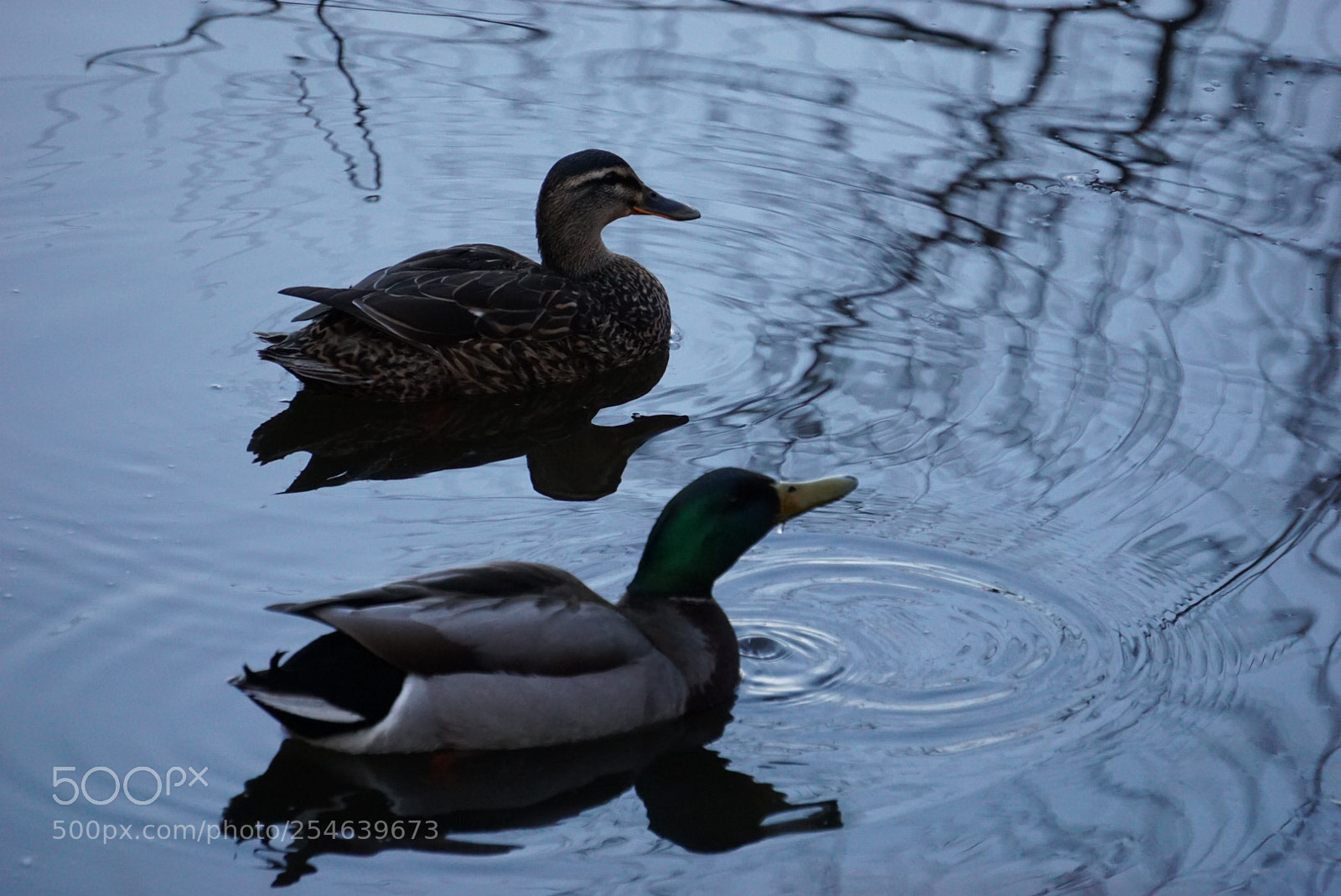Sony a6000 sample photo. Dcba defdfefae photography
