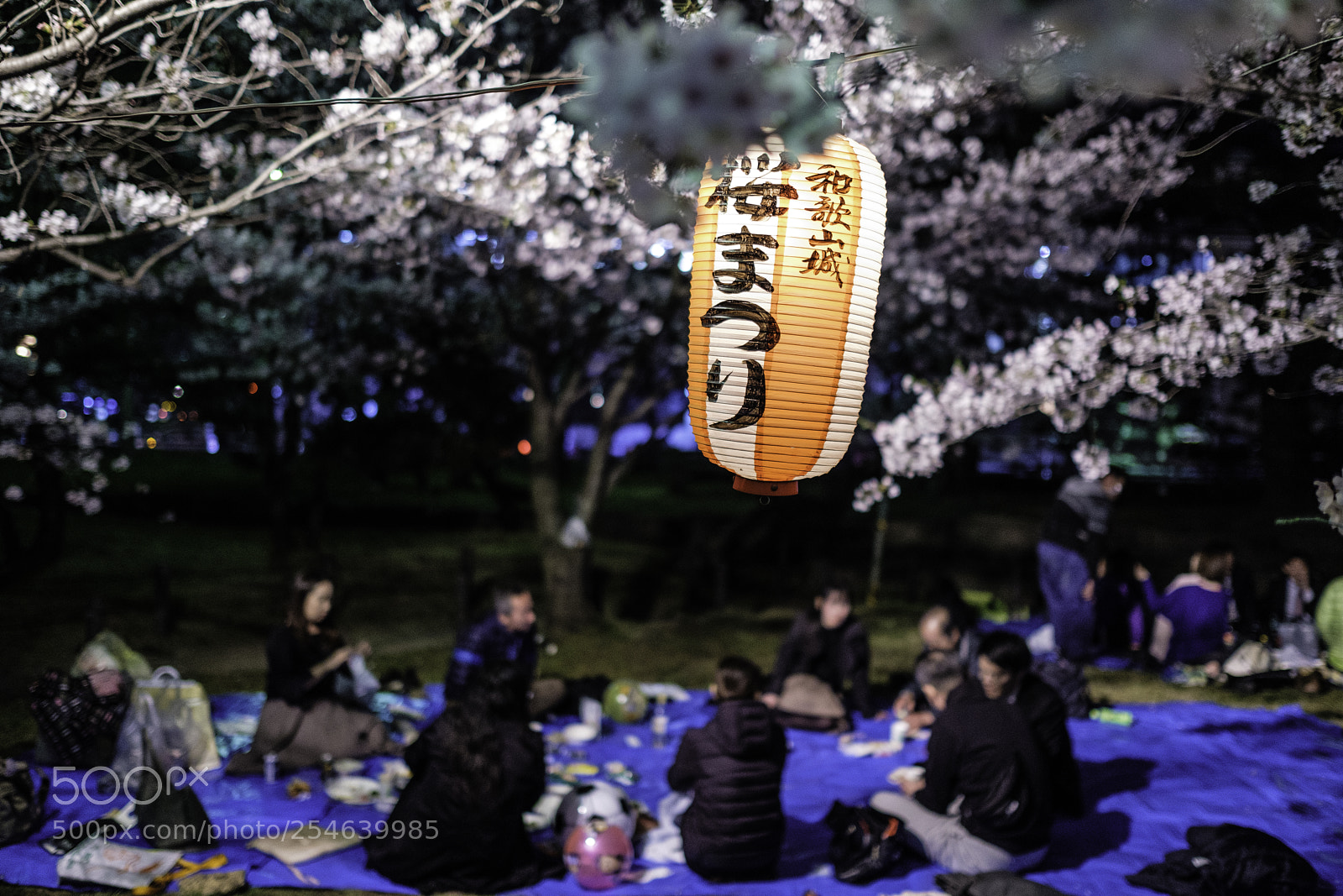 Fujifilm X-T2 sample photo. Japan-和歌山櫻祭 photography