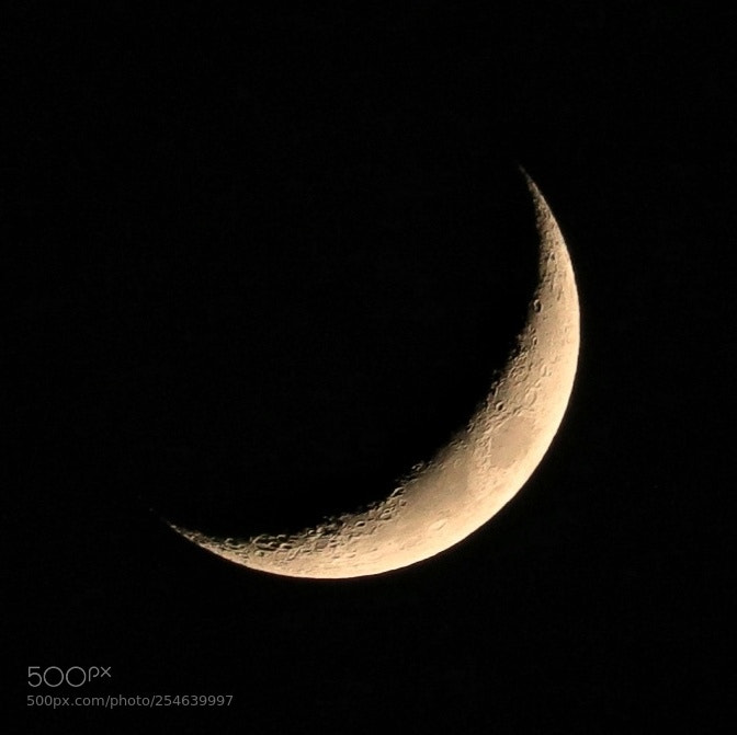 Canon EOS 5DS sample photo. Untitled photography