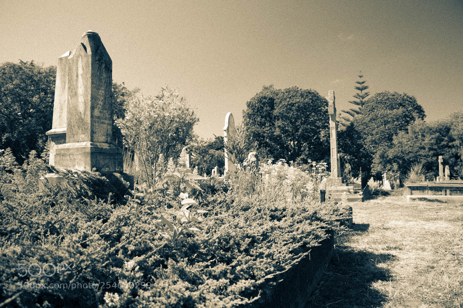 Canon EOS 80D sample photo. Old cemetery photography