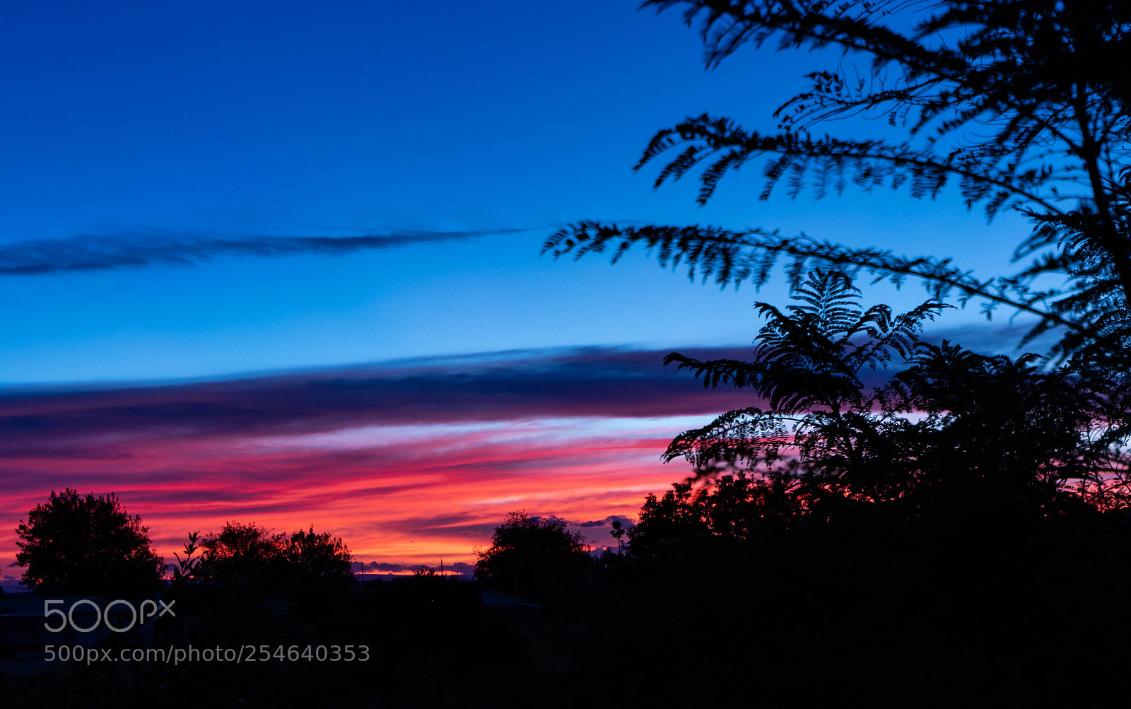 Canon EOS 80D sample photo. Evening sky photography