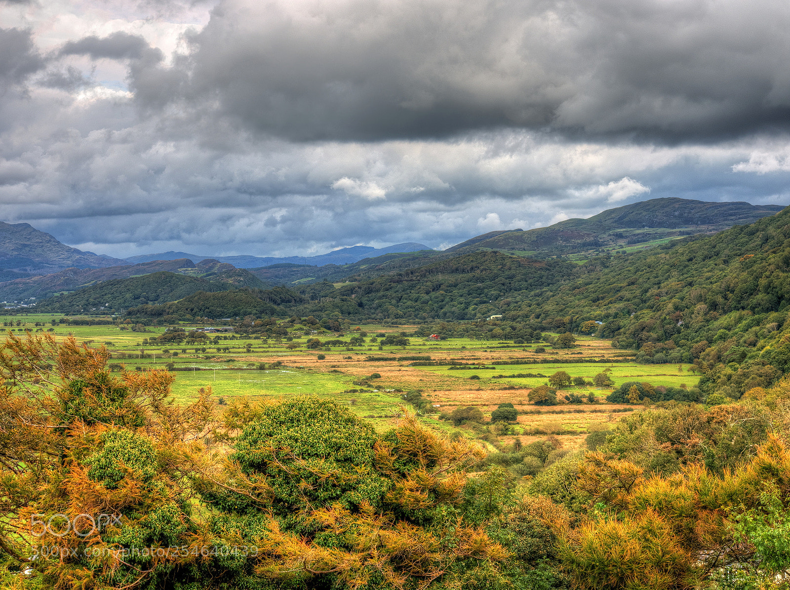 Olympus OM-D E-M1 sample photo. A view from harlech photography