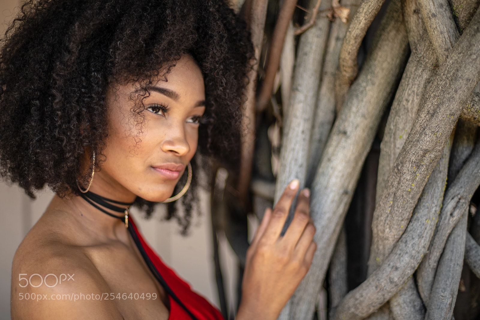 Nikon D850 sample photo. Nicole photography