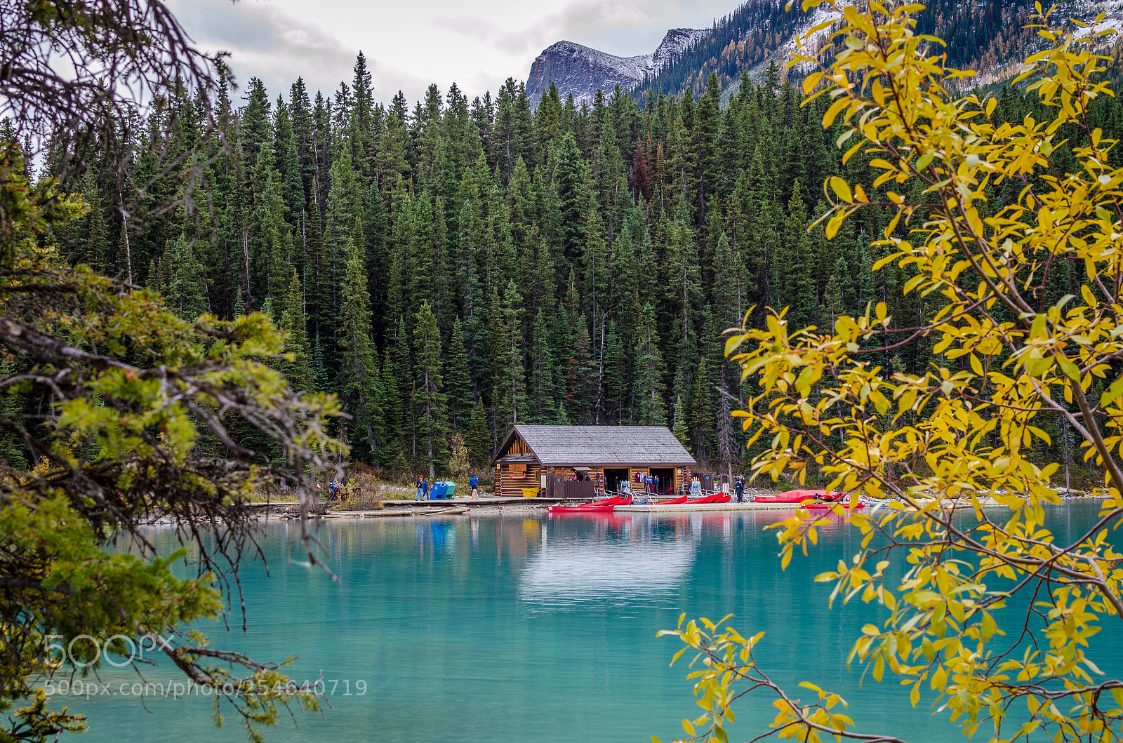 Nikon D7000 sample photo. Lake louise photography