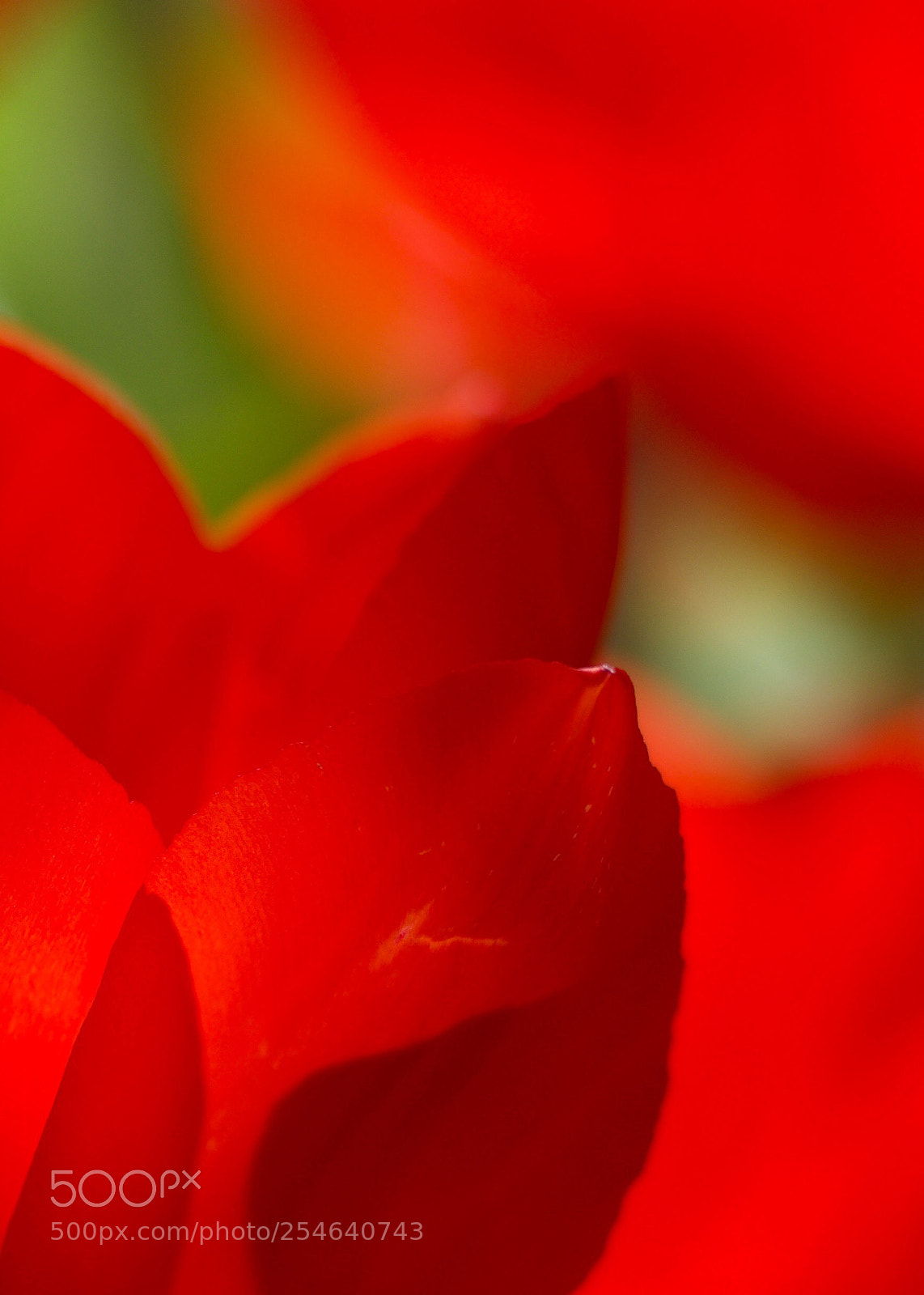 Nikon D810 sample photo. Untitled photography
