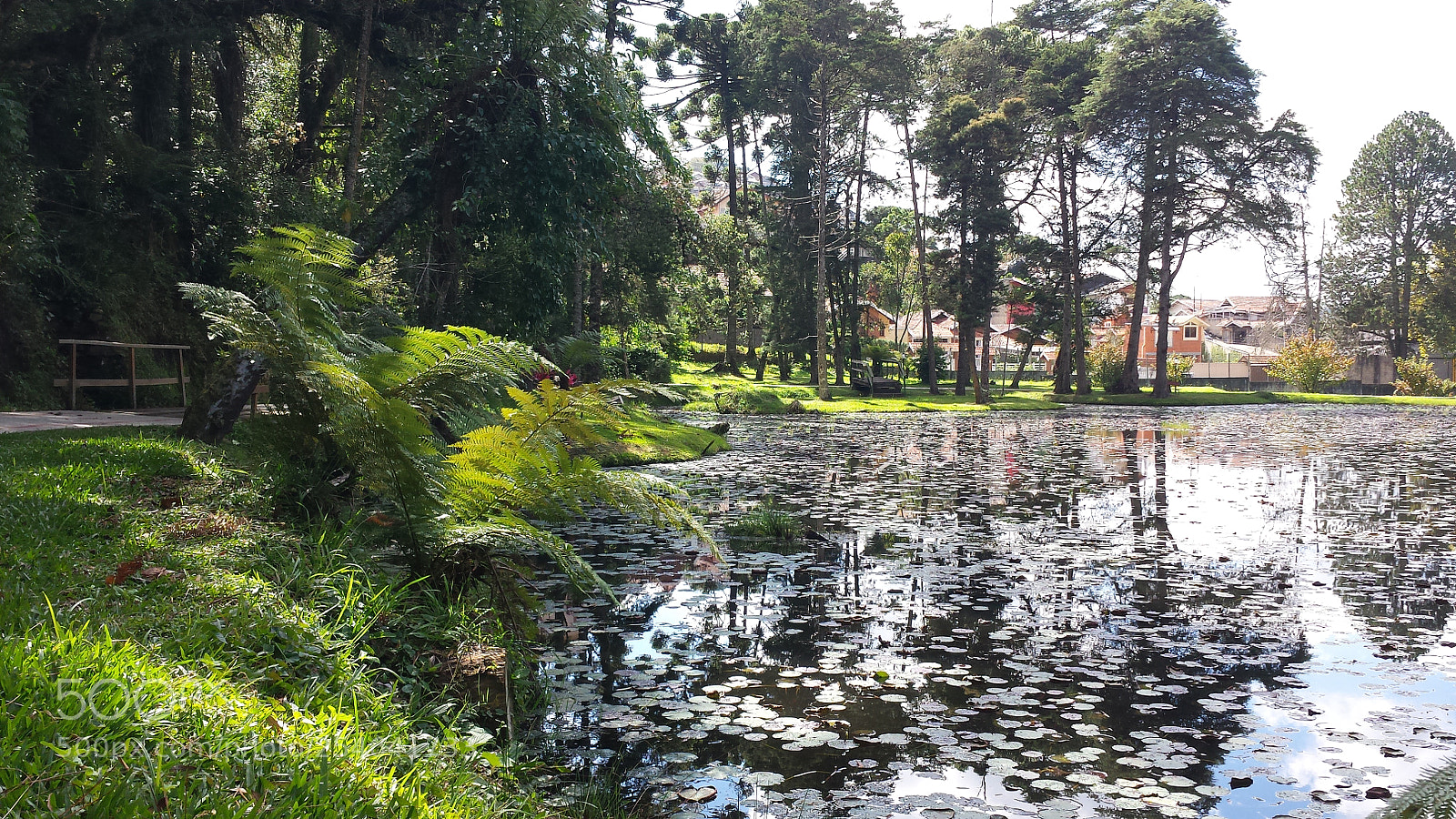 Samsung Galaxy S4 sample photo. Lake photography