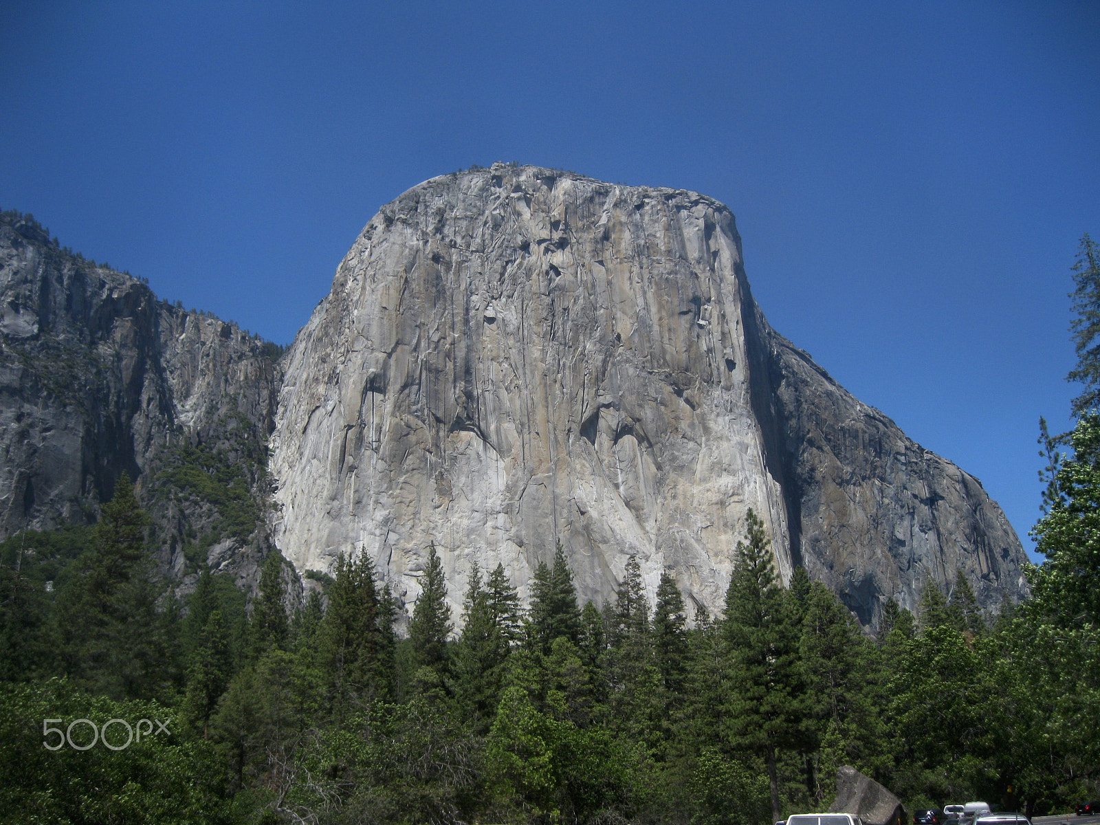 Canon PowerShot A1000 IS sample photo. Yosemite national park photography