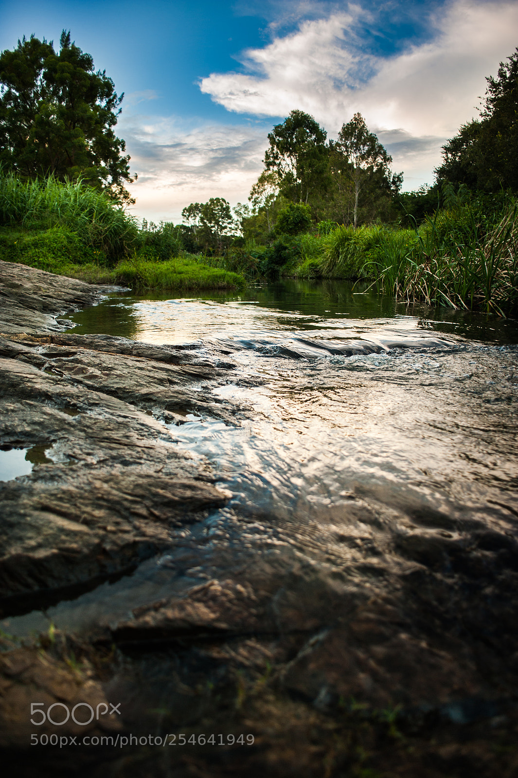 Nikon D700 sample photo. For the earth day photography