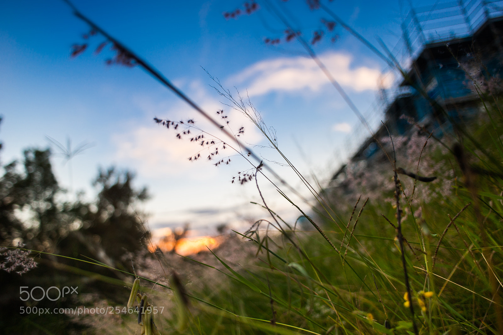 Nikon D700 sample photo. For the earth day photography