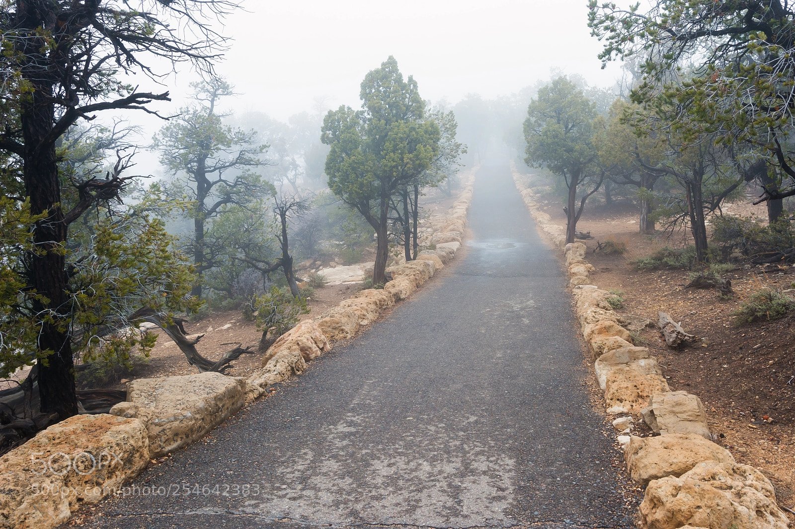 Nikon D7100 sample photo. Path at south rim photography