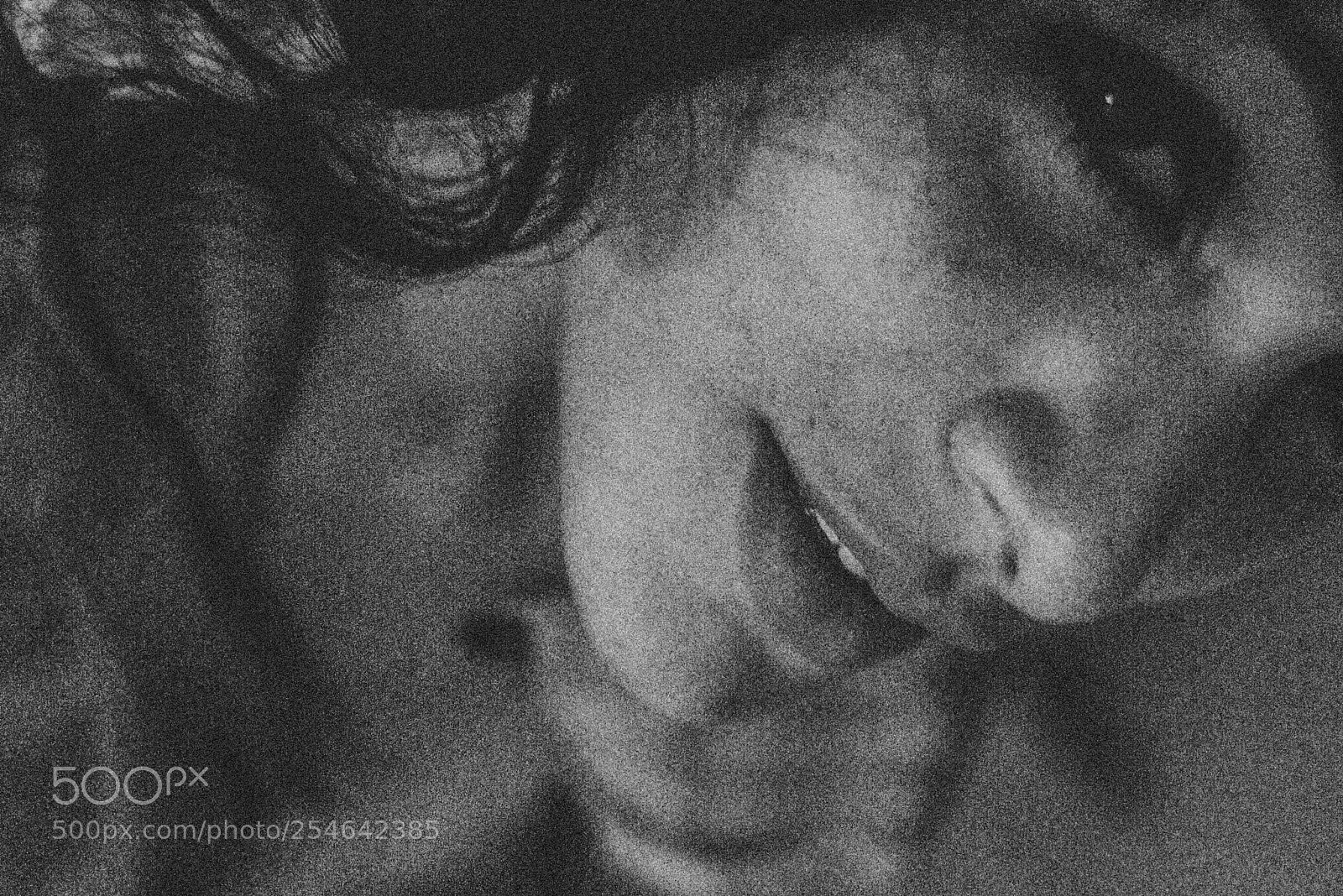 Nikon D610 sample photo. Untitled photography