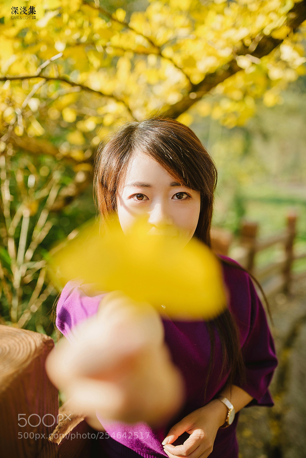 Nikon D610 sample photo. Untitled photography