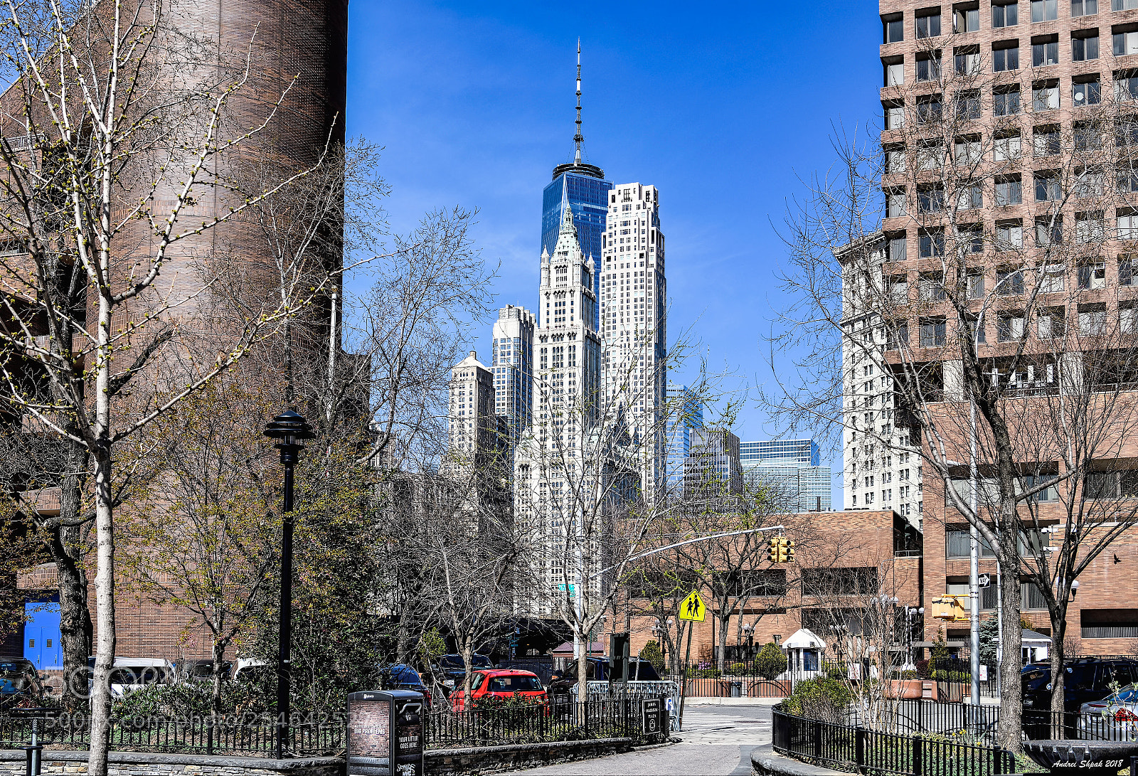 Nikon D850 sample photo. New york. woolworth and photography