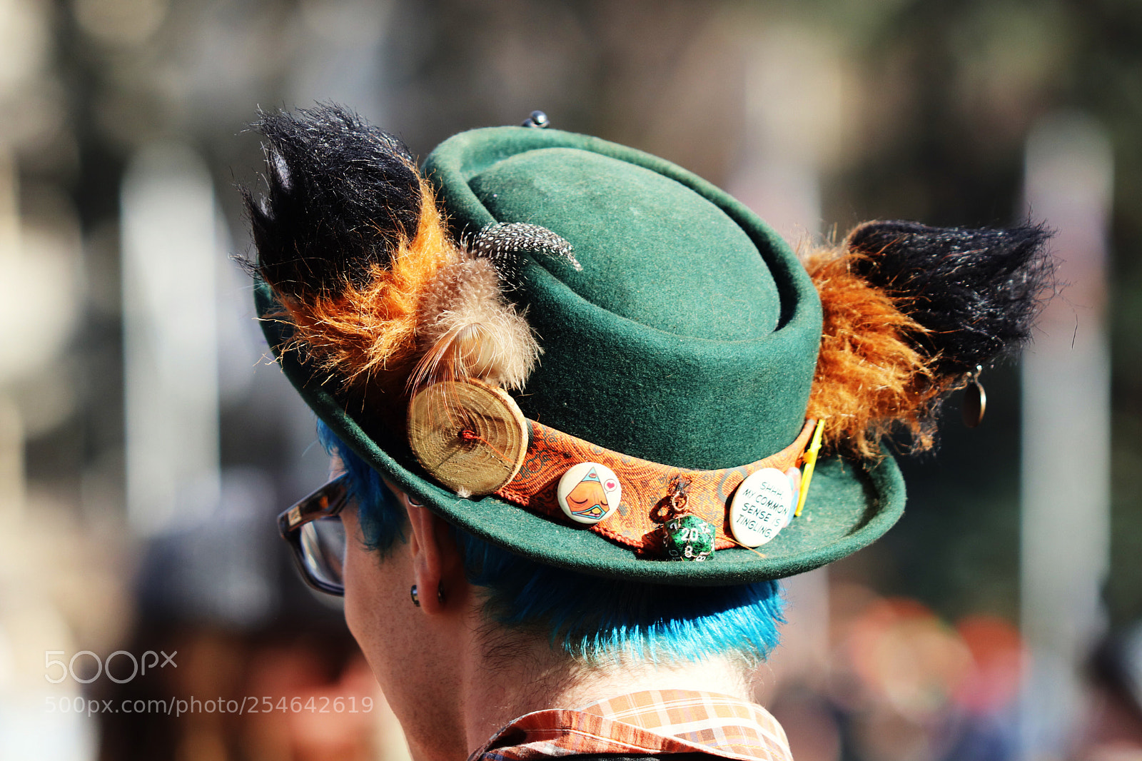 Canon EOS 800D (EOS Rebel T7i / EOS Kiss X9i) sample photo. A fascinating hat! photography