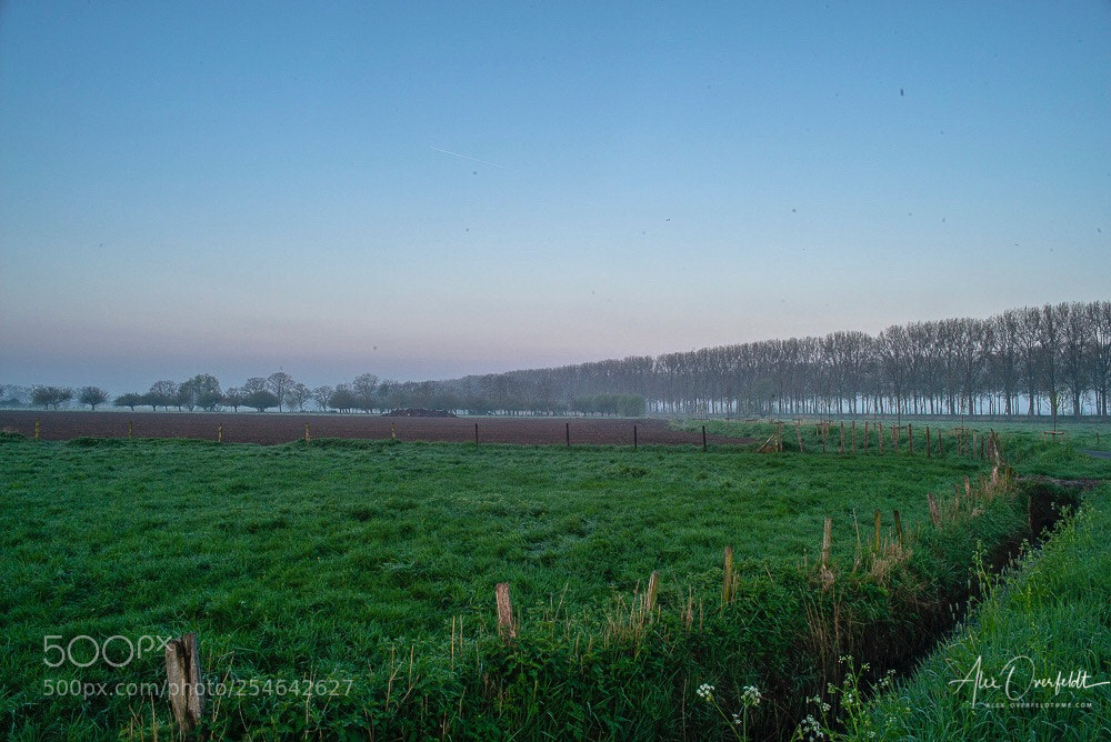 Leica M (Typ 240) sample photo. Morning mood photography