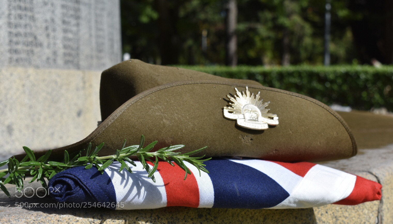 Nikon D3400 sample photo. Lest we forget photography
