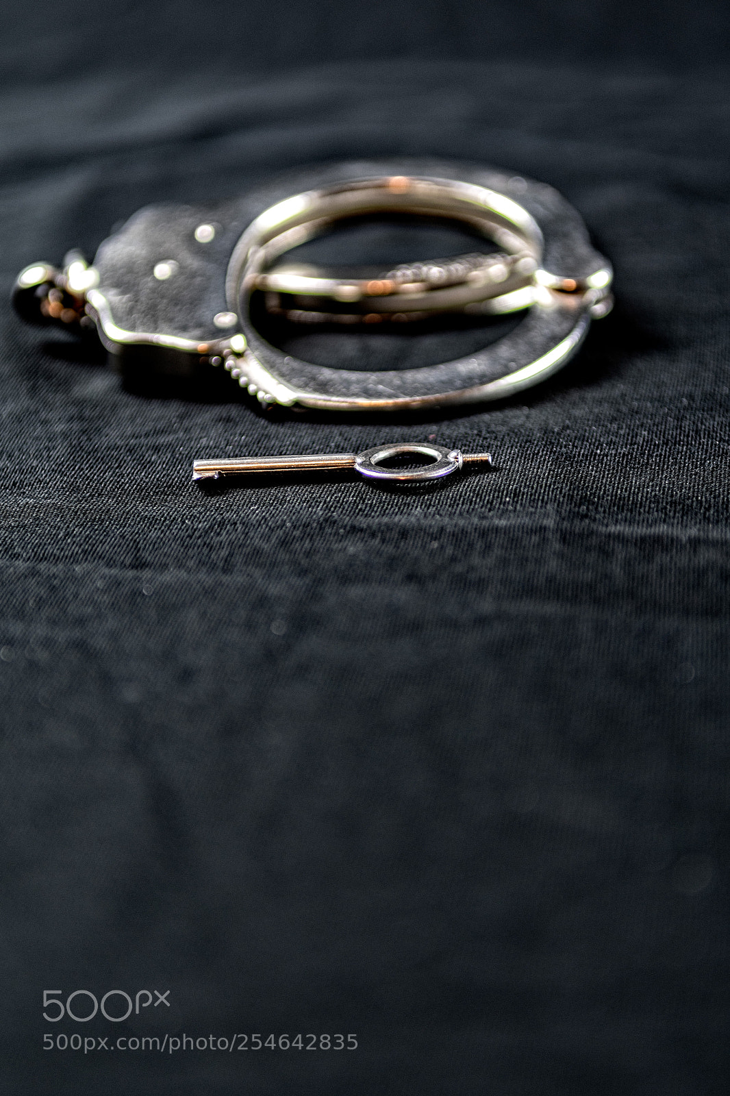Nikon D500 sample photo. Under arrest photography