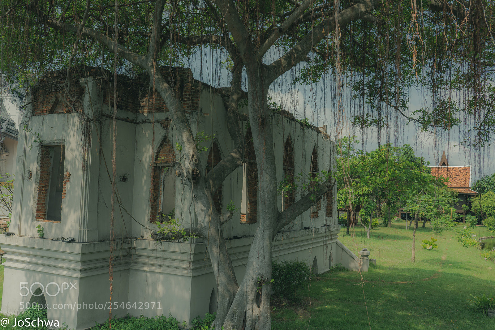 Sony a7R II sample photo. Quiet in the shadow photography