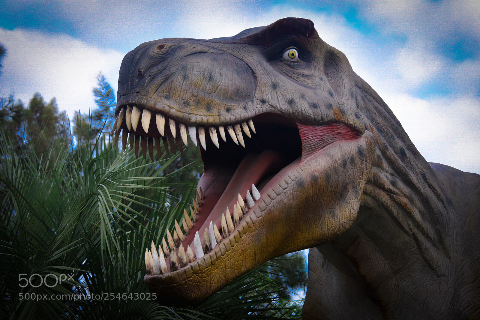 Nikon D7200 sample photo. Tiranosaurio rex photography