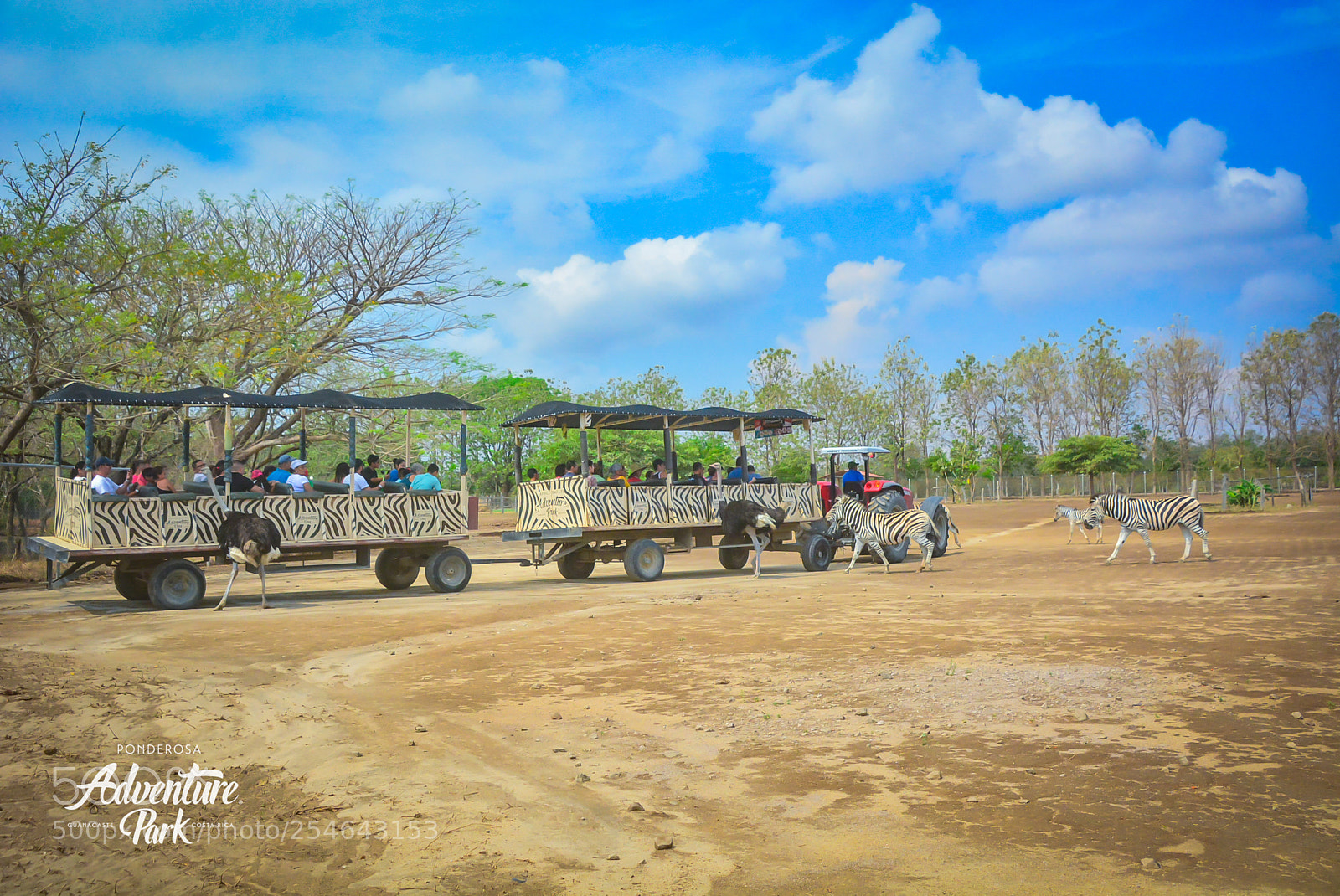 Nikon D7100 sample photo. Ponderosa adventure park photography