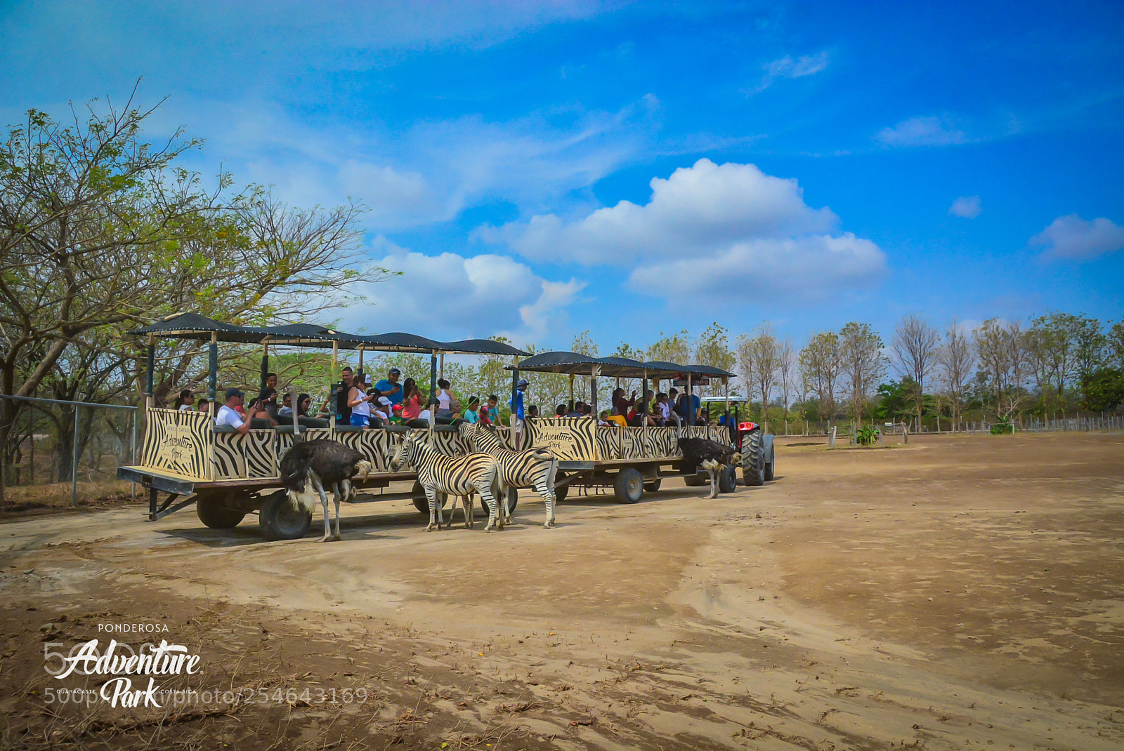 Nikon D7100 sample photo. Ponderosa adventure park photography