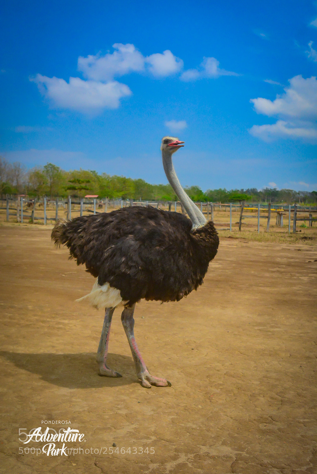 Nikon D7100 sample photo. Ponderosa adventure park photography