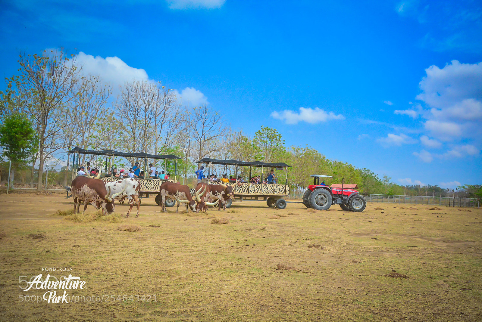 Nikon D7100 sample photo. Ponderosa adventure park photography