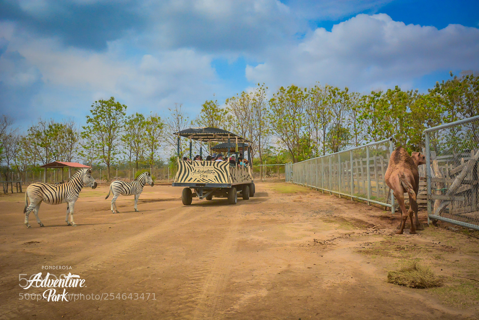Nikon D7100 sample photo. Ponderosa adventure park photography