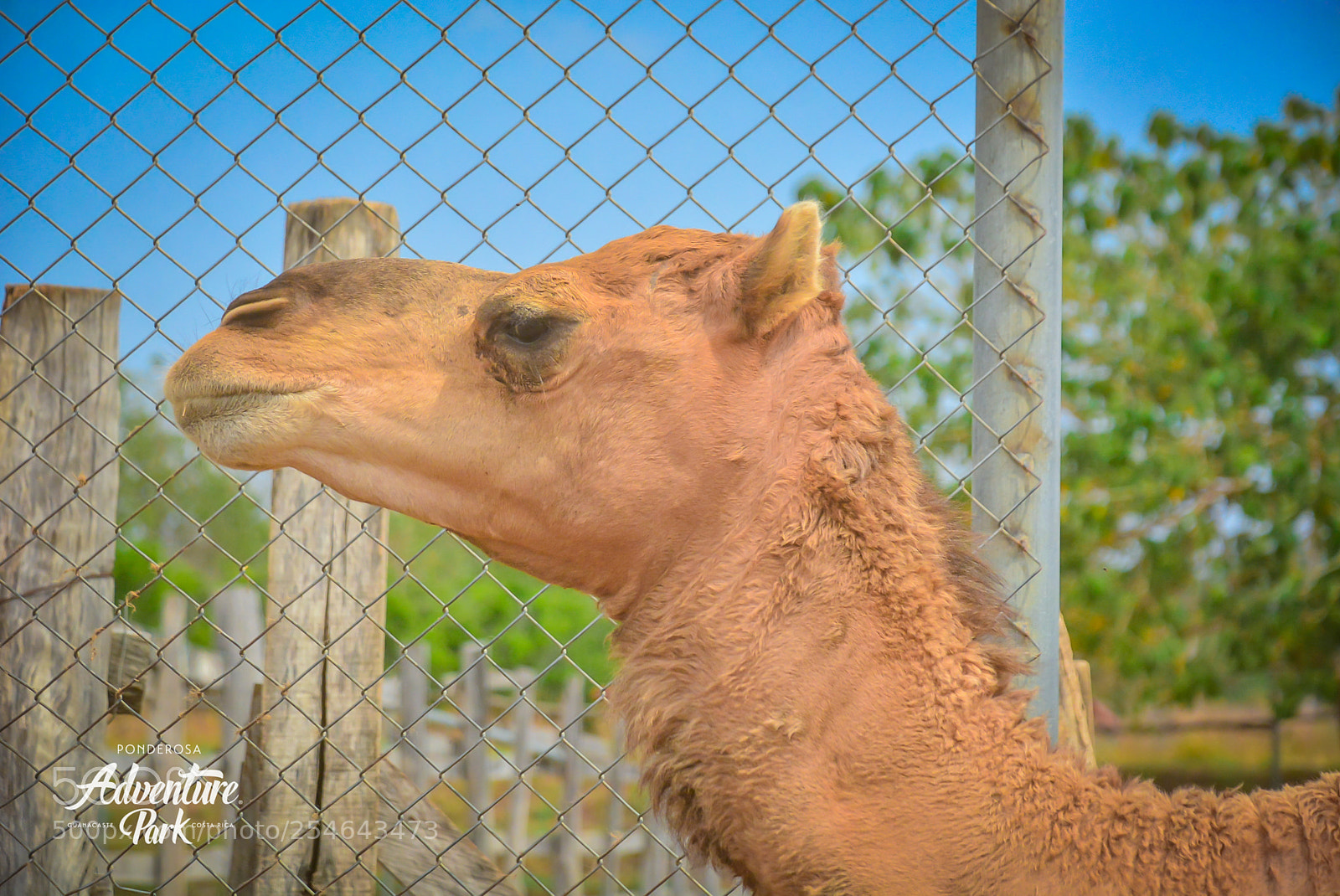 Nikon D7100 sample photo. Ponderosa adventure park photography