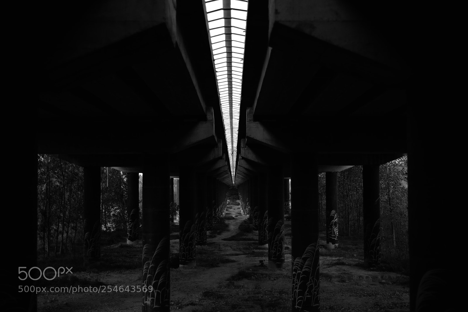 Nikon D610 sample photo. Untitled photography