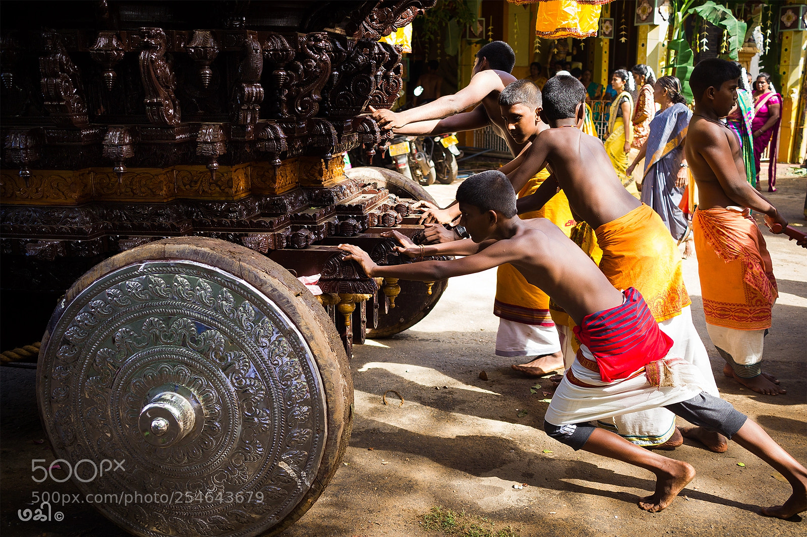 Canon EOS 550D (EOS Rebel T2i / EOS Kiss X4) sample photo. Pulling the chariot photography