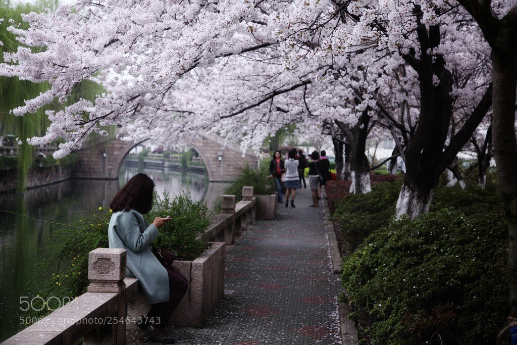 Canon EOS 5D Mark II sample photo. Untitled photography