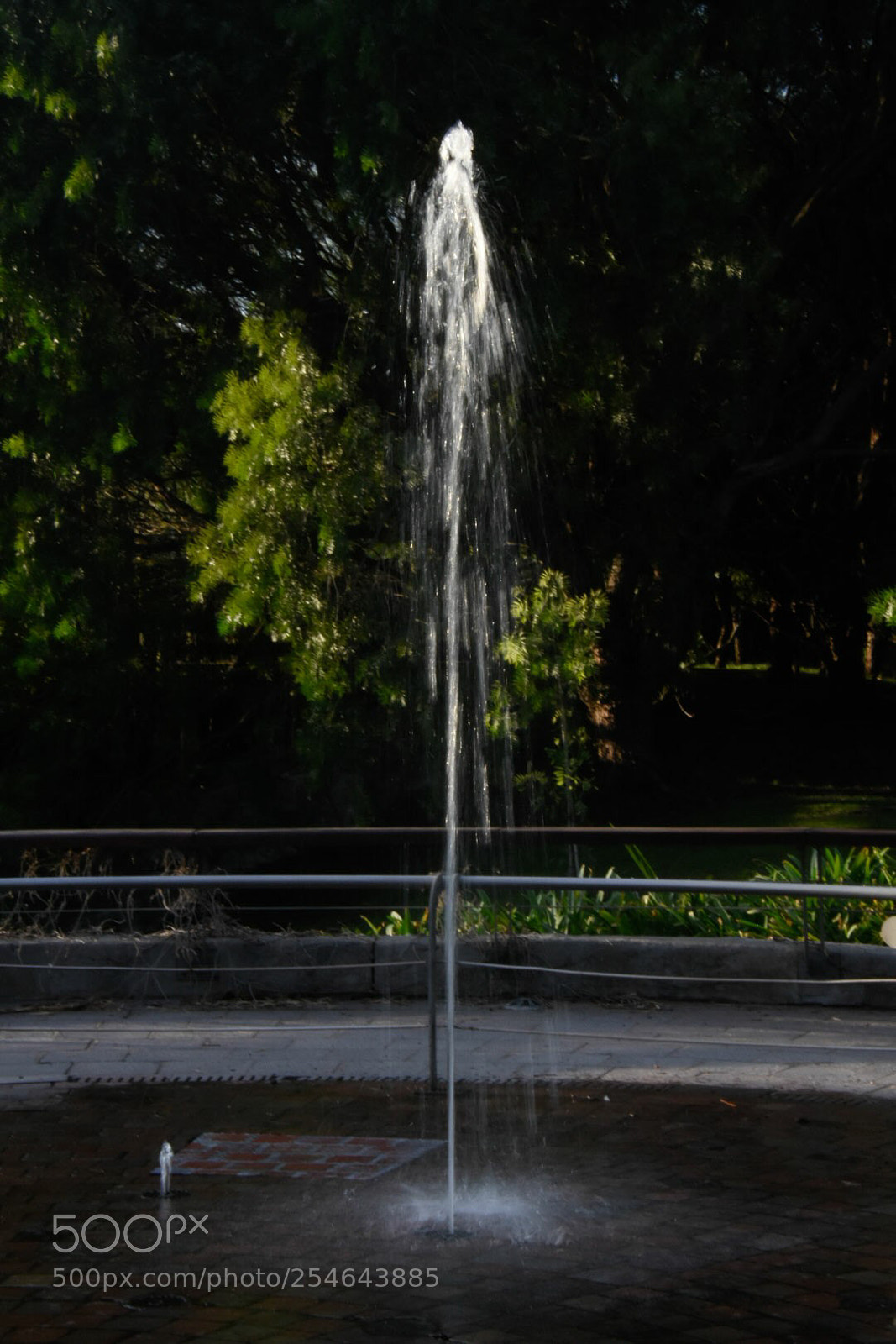 Nikon D7200 sample photo. Water ii photography