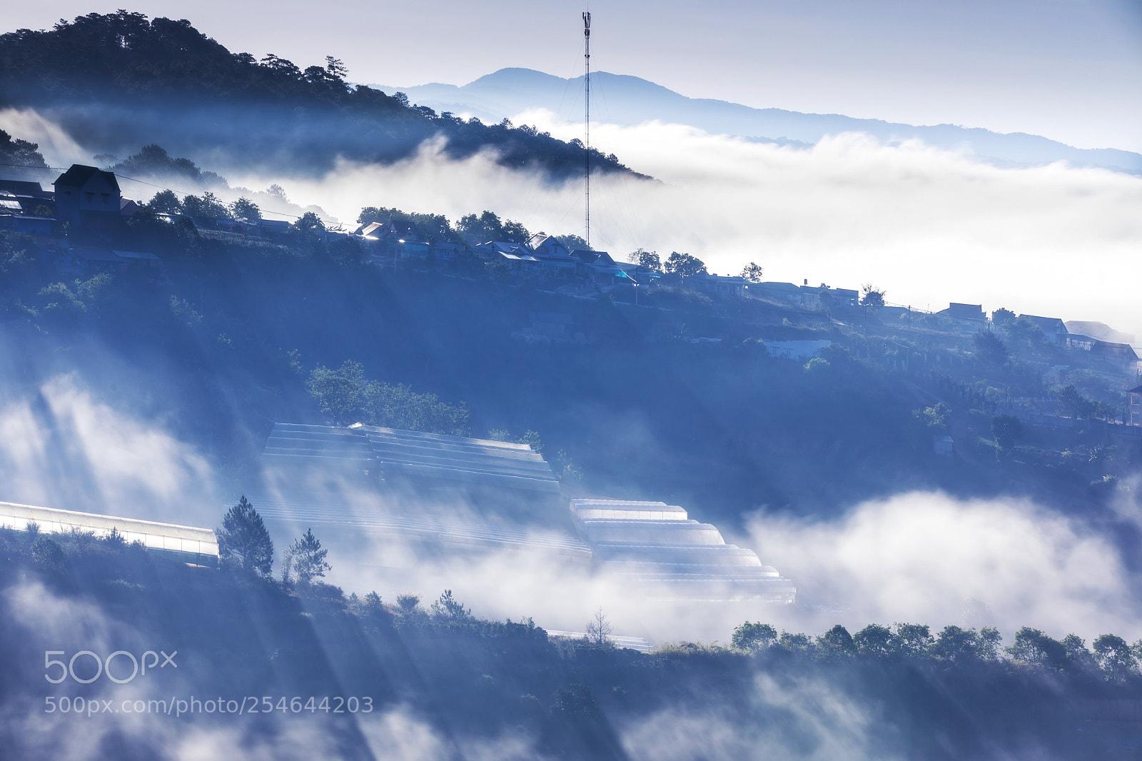 Canon EOS 5D Mark IV sample photo. Morning photography