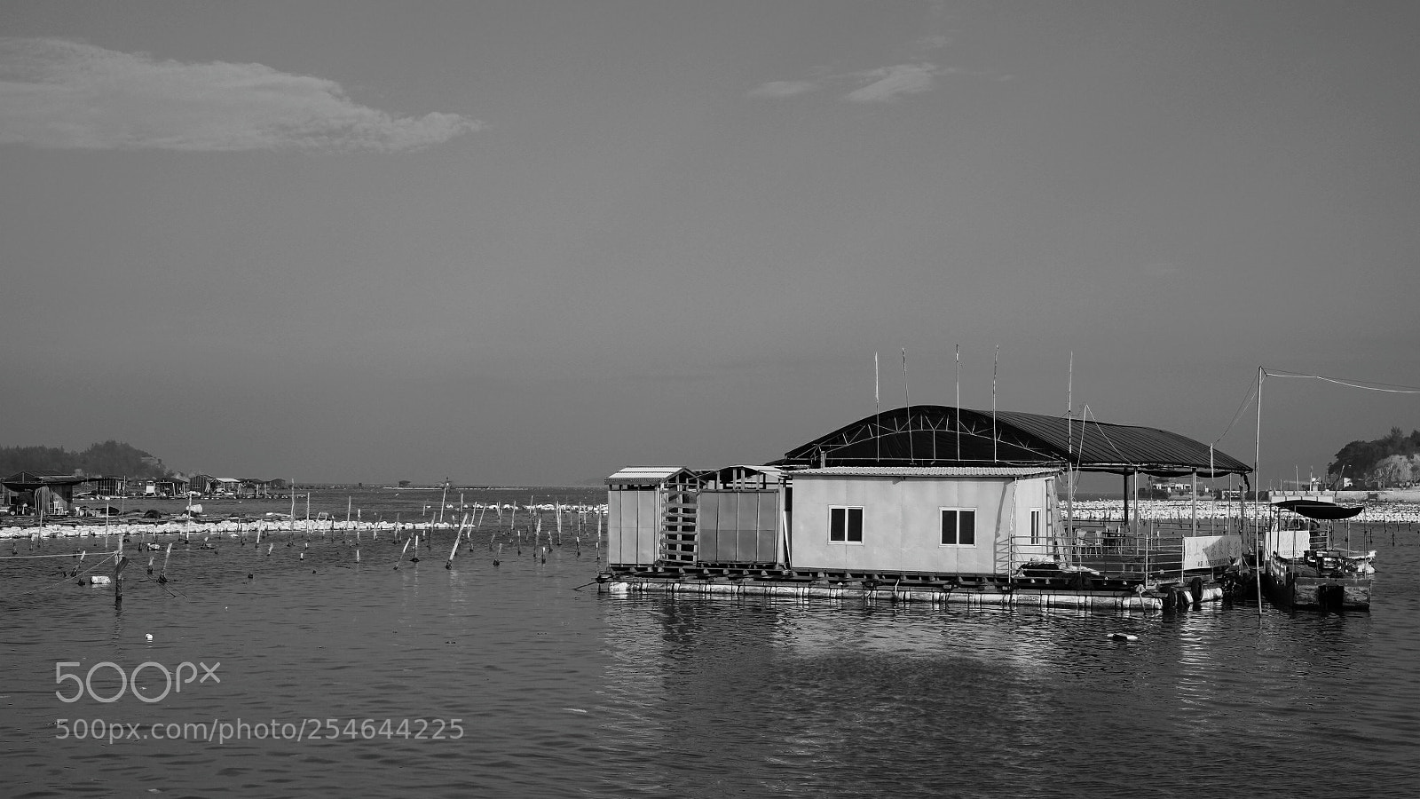 Fujifilm X-T1 sample photo. Untitled photography