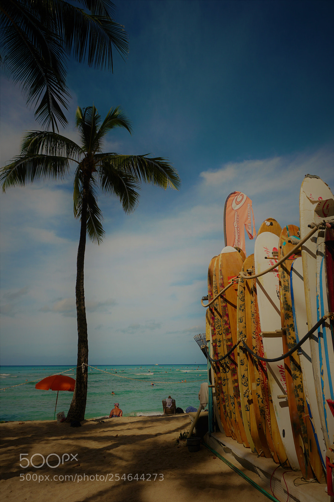 Sony a6300 sample photo. Palm tree umbrella surf photography