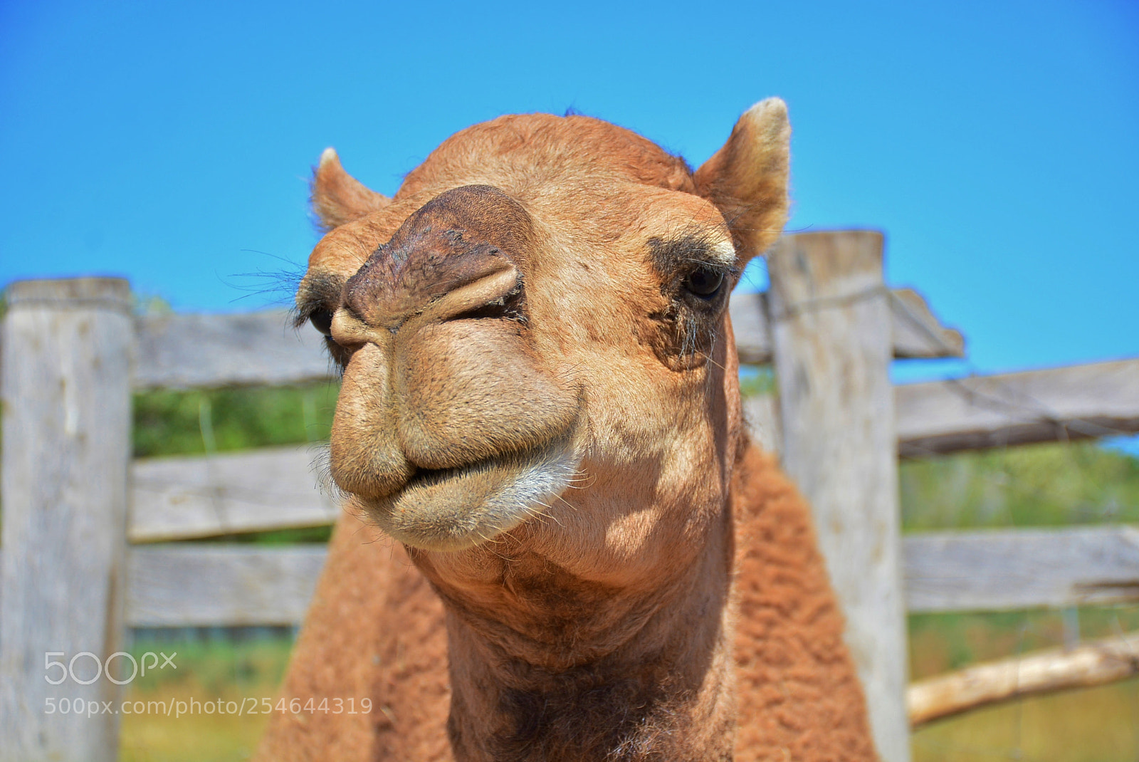 Nikon D7100 sample photo. Ponderosa adventure park photography