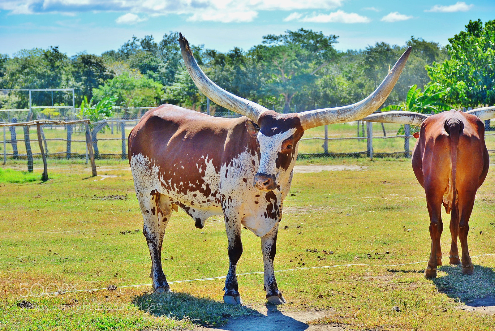 Nikon D7100 sample photo. Ponderosa adventure park photography