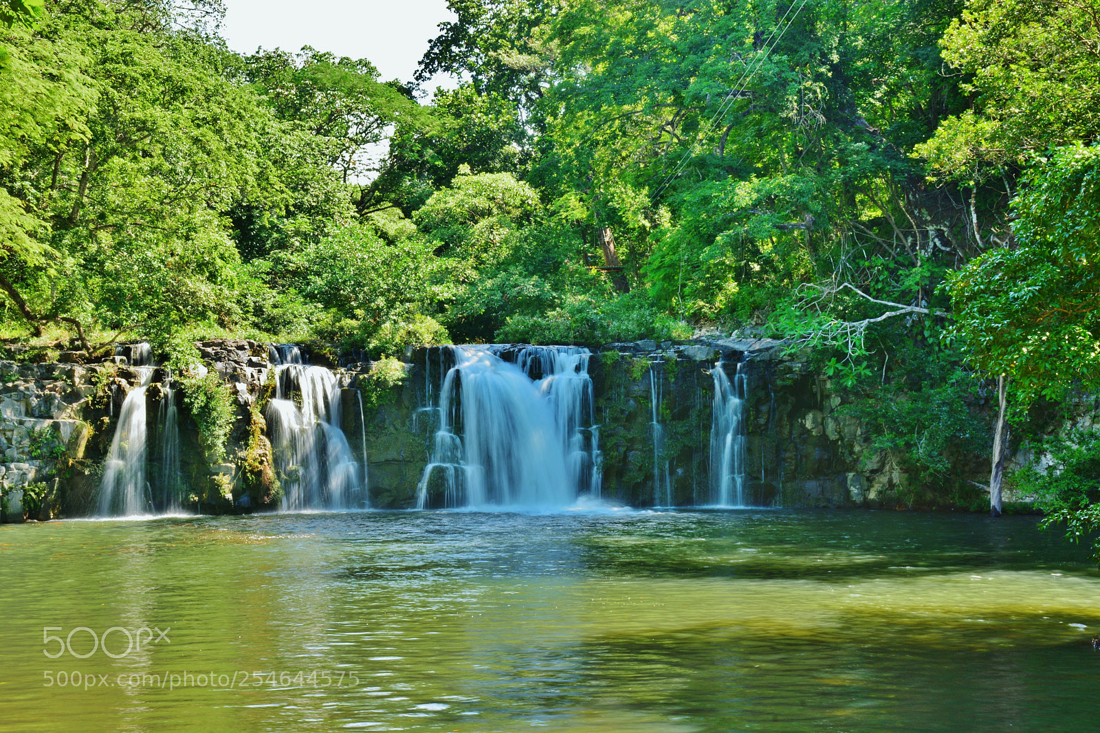 Nikon D7100 sample photo. Ponderosa adventure park photography