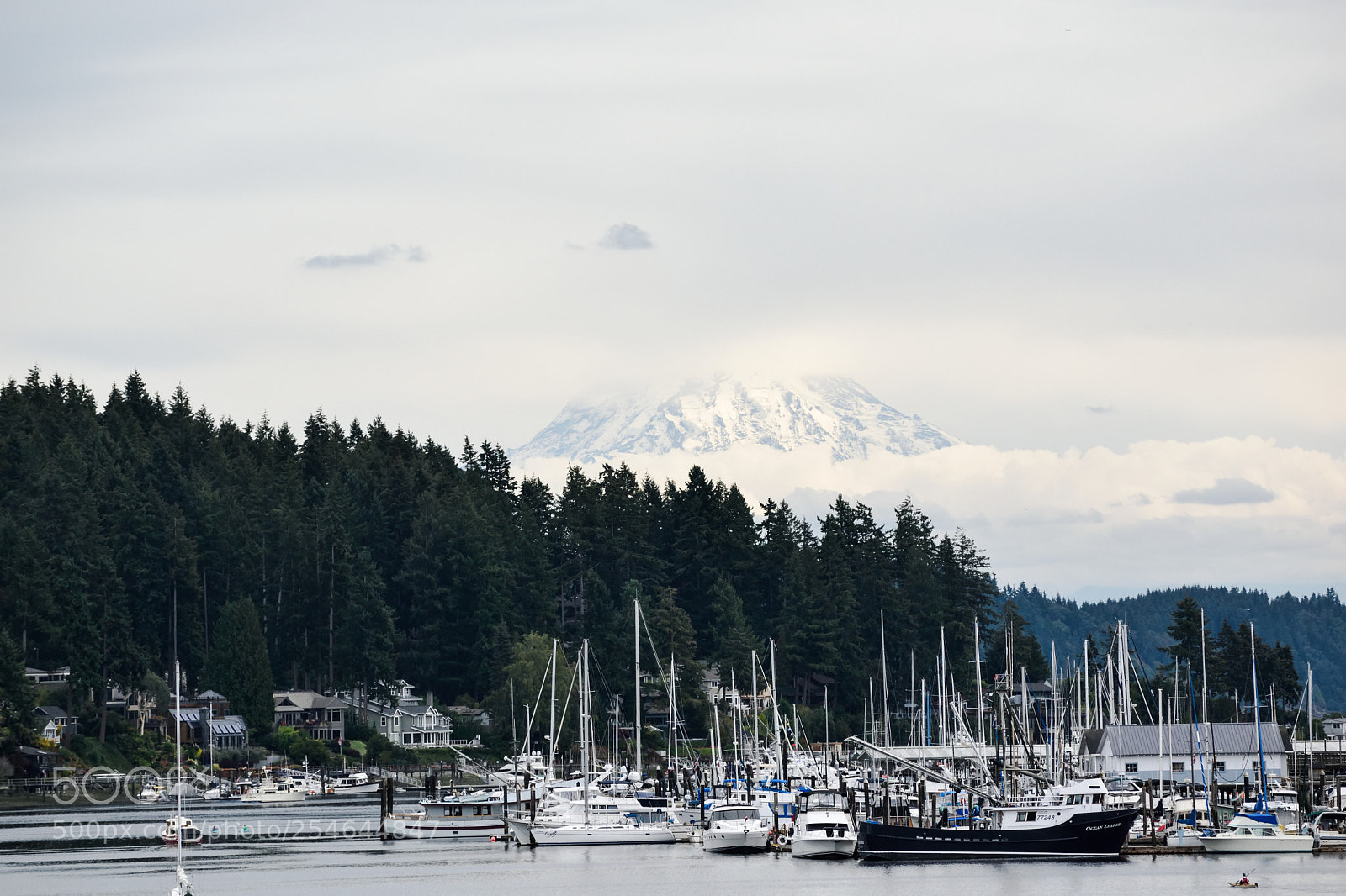 Nikon D3300 sample photo. Gig harbour photography