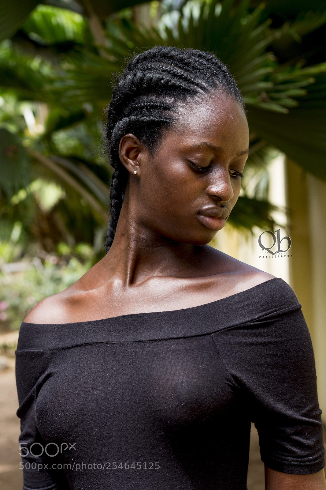Canon EOS 60D sample photo. Black bea photography