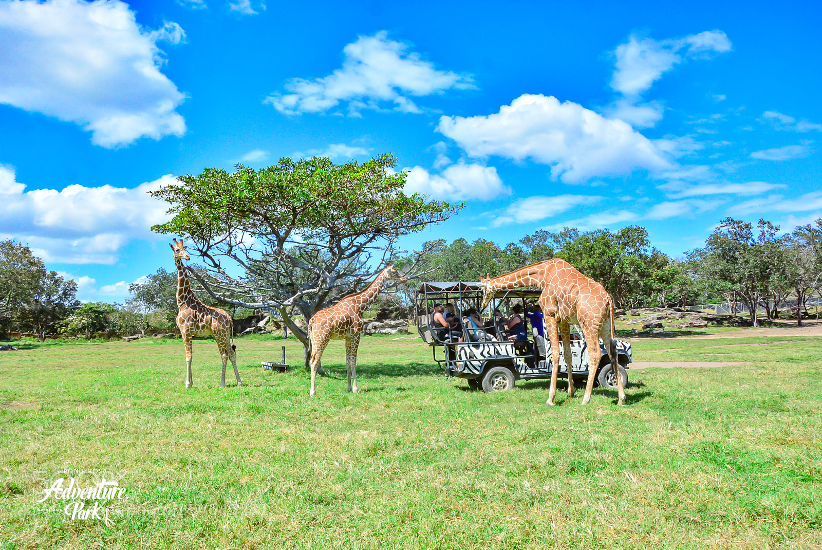 Nikon D7100 sample photo. Ponderosa adventure park photography