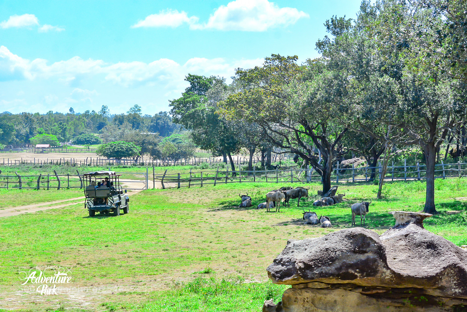 Nikon D7100 sample photo. Ponderosa adventure park photography