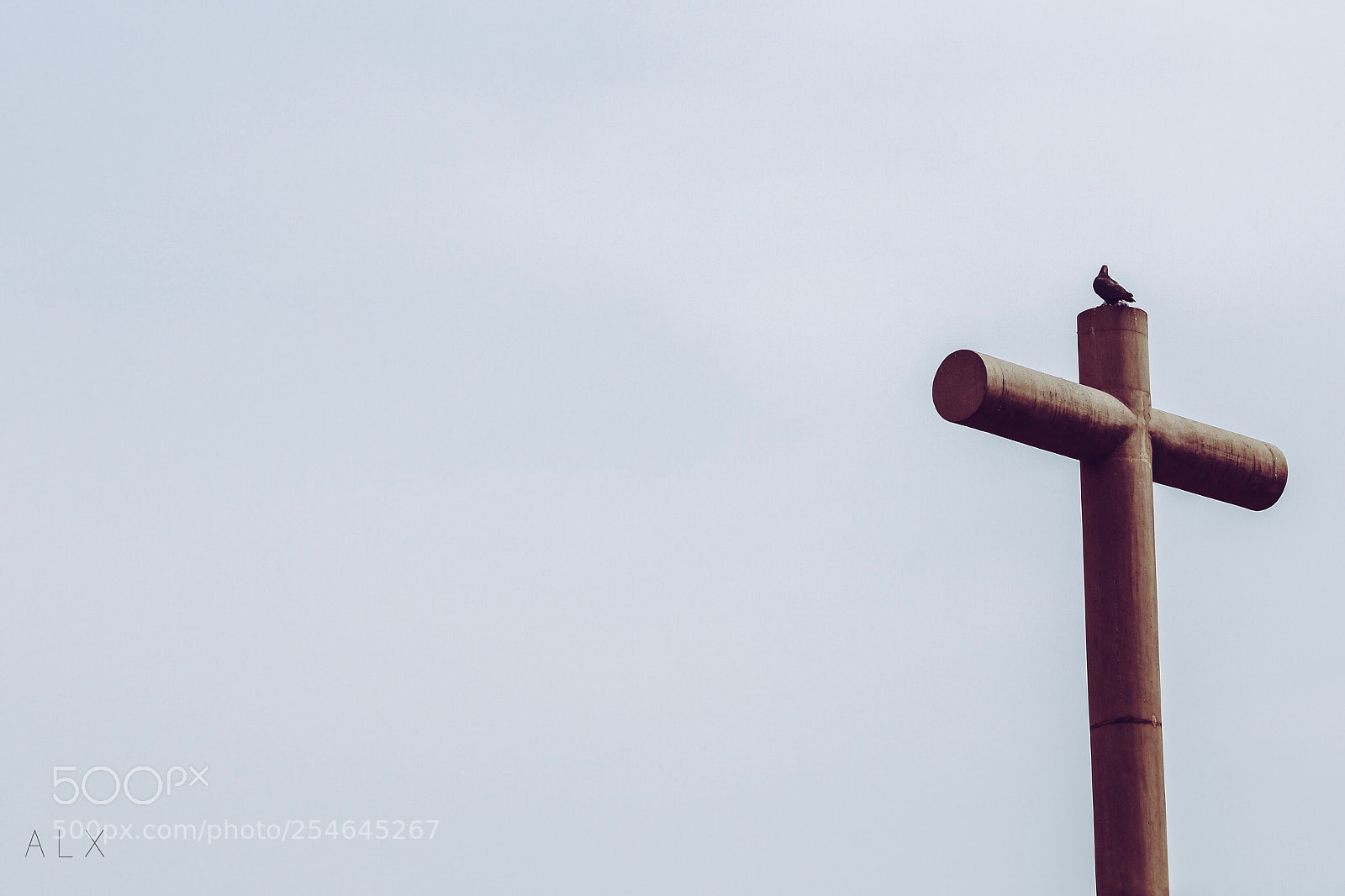 Canon EOS 1300D (EOS Rebel T6 / EOS Kiss X80) sample photo. Bird in church photography