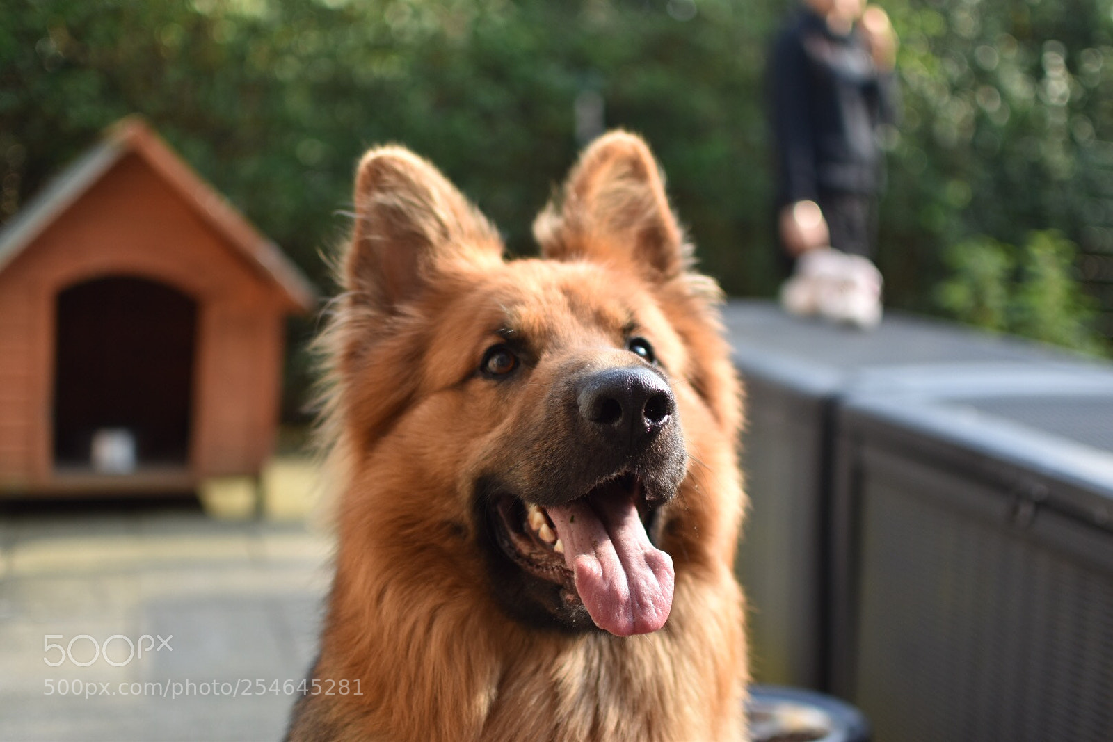 Nikon D5600 sample photo. My name is hunter  photography